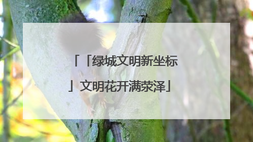 「绿城文明新坐标」文明花开满荥泽