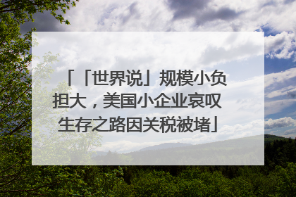 「世界说」规模小负担大，美国小企业哀叹生存之路因关税被堵