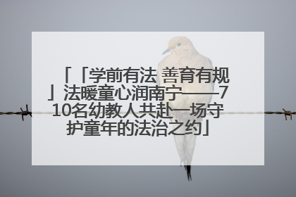 「学前有法 善育有规」法暖童心润南宁——710名幼教人共赴一场守护童年的法治之约