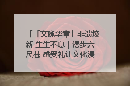 「文脉华章」非遗焕新 生生不息｜漫步六尺巷 感受礼让文化浸润的“巷”往生活