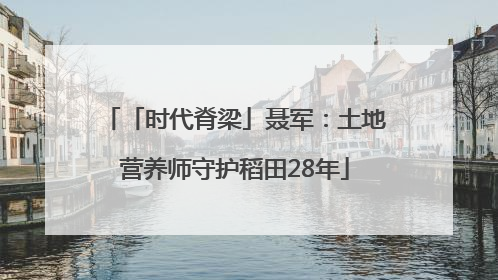 「时代脊梁」聂军：土地营养师守护稻田28年