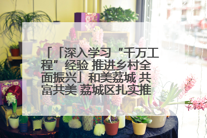 「深入学习“千万工程”经验 推进乡村全面振兴」和美荔城 共富共美 荔城区扎实推进乡村振兴工作