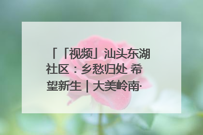 「视频」汕头东湖社区：乡愁归处 希望新生｜大美岭南·百村焕新记