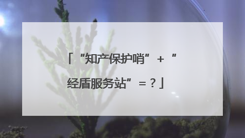 “知产保护哨”+“经盾服务站”=？