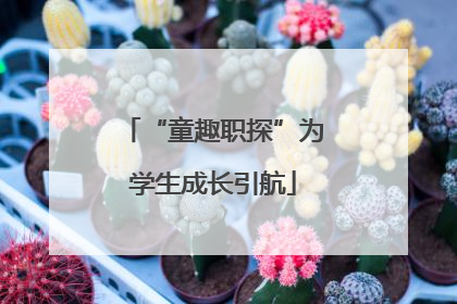 “童趣职探”为学生成长引航