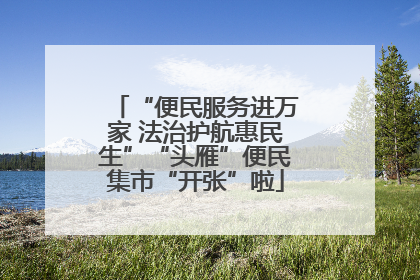 “便民服务进万家 法治护航惠民生”“头雁”便民集市“开张”啦