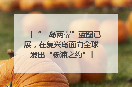 “一岛两翼”蓝图已展，在复兴岛面向全球发出“杨浦之约”