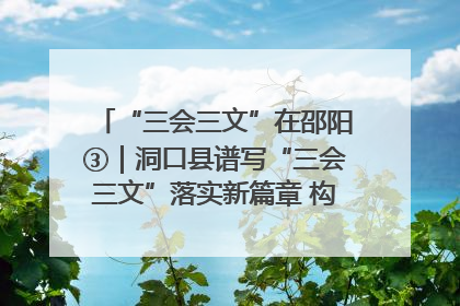 “三会三文”在邵阳③｜洞口县谱写“三会三文”落实新篇章 构建协同联动大格局