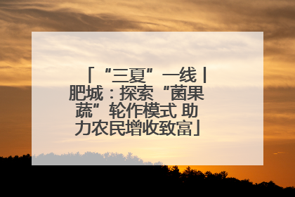 “三夏”一线丨肥城：探索“菌果蔬”轮作模式 助力农民增收致富