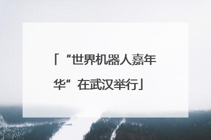 “世界机器人嘉年华”在武汉举行
