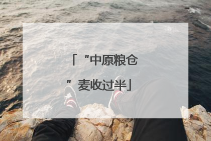 “中原粮仓”麦收过半