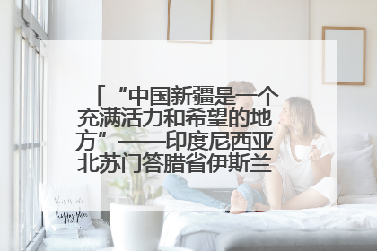 “中国新疆是一个充满活力和希望的地方”——印度尼西亚北苏门答腊省伊斯兰教代表团参访新疆