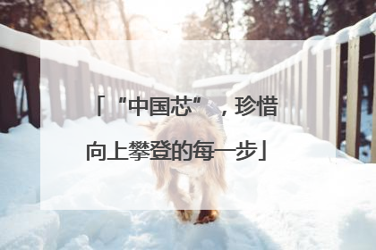 “中国芯”，珍惜向上攀登的每一步