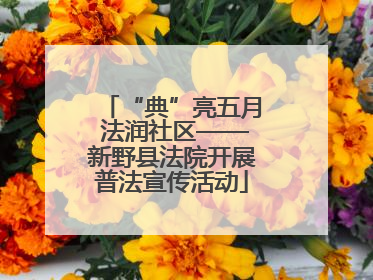 “典”亮五月 法润社区——新野县法院开展普法宣传活动