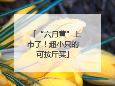 “六月黄”上市了！超小只的可按斤买