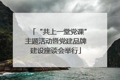“共上一堂党课”主题活动暨党建品牌建设座谈会举行
