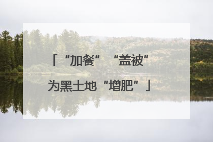 “加餐”“盖被” 为黑土地“增肥”