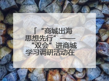 “商城出海 思想先行”——“双会”进商城学习调研活动在临沂顺利开展