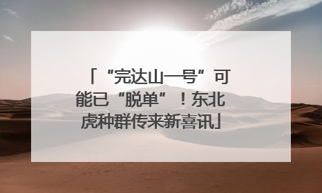 “完达山一号”可能已“脱单”！东北虎种群传来新喜讯