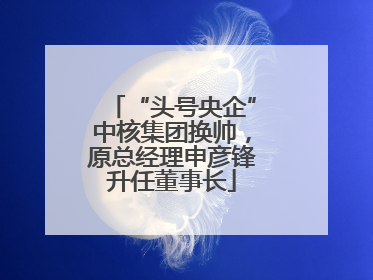 “头号央企”中核集团换帅，原总经理申彦锋升任董事长