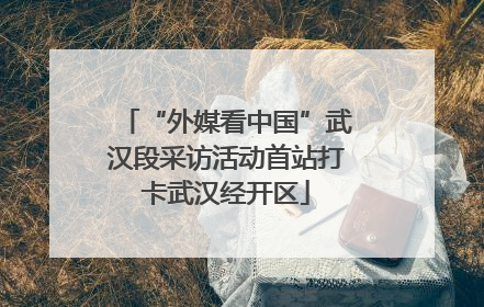 “外媒看中国”武汉段采访活动首站打卡武汉经开区