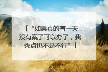 “如果真的有一天，没有案子可以办了，我秃点也不是不行”