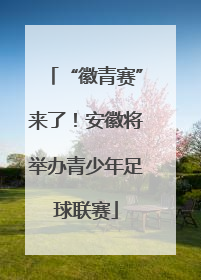 “徽青赛”来了！安徽将举办青少年足球联赛