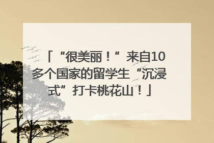 “很美丽！”来自10多个国家的留学生“沉浸式”打卡桃花山！