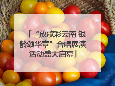 “放歌彩云南 银龄颂华章”合唱展演活动盛大启幕