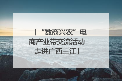 “数商兴农”电商产业带交流活动走进广西三江