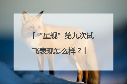 “星舰”第九次试飞表现怎么样？