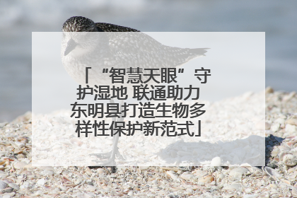 “智慧天眼”守护湿地 联通助力东明县打造生物多样性保护新范式