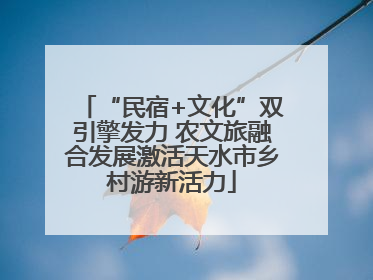“民宿+文化”双引擎发力 农文旅融合发展激活天水市乡村游新活力