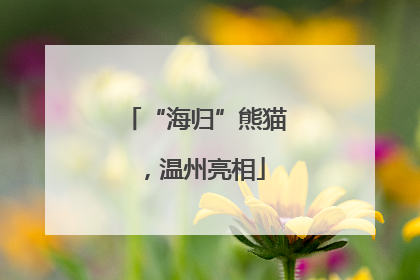 “海归”熊猫，温州亮相