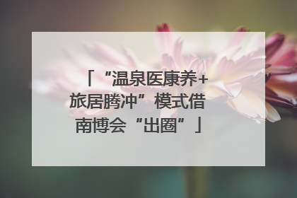 “温泉医康养+旅居腾冲”模式借南博会“出圈”