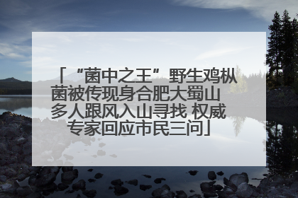“菌中之王”野生鸡枞菌被传现身合肥大蜀山 多人跟风入山寻找 权威专家回应市民三问