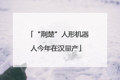 “荆楚”人形机器人今年在汉量产