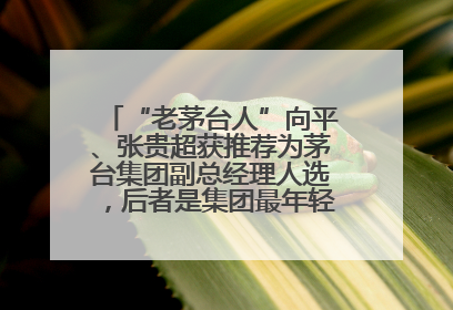“老茅台人”向平、张贵超获推荐为茅台集团副总经理人选，后者是集团最年轻党委委员