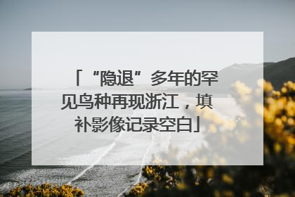 “隐退”多年的罕见鸟种再现浙江，填补影像记录空白