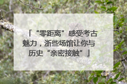 “零距离”感受考古魅力，浙些场馆让你与历史“亲密接触”