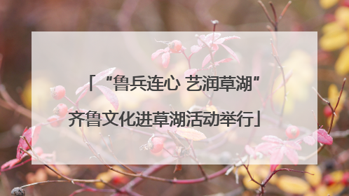 “鲁兵连心 艺润草湖”齐鲁文化进草湖活动举行