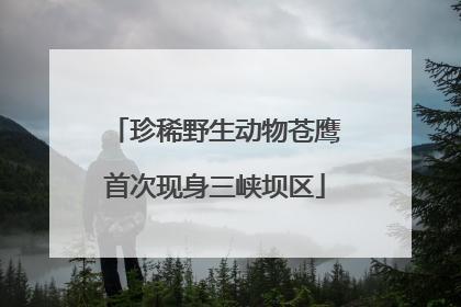 珍稀野生动物苍鹰首次现身三峡坝区