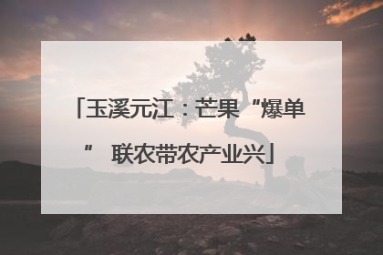 玉溪元江：芒果“爆单” 联农带农产业兴