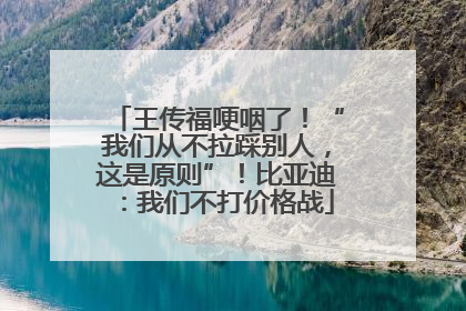 王传福哽咽了！“我们从不拉踩别人，这是原则”！比亚迪：我们不打价格战