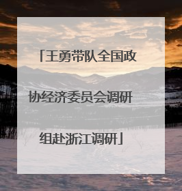 王勇带队全国政协经济委员会调研组赴浙江调研