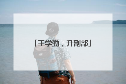 王学勤，升副部