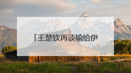 王楚钦再谈输给伊朗14岁小将：没有一场是技术上的输，都是心理上的输