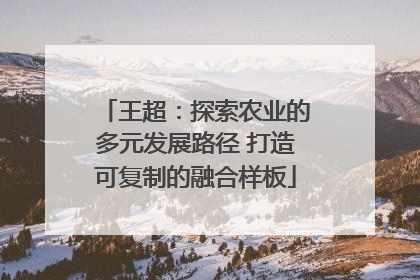 王超：探索农业的多元发展路径 打造可复制的融合样板