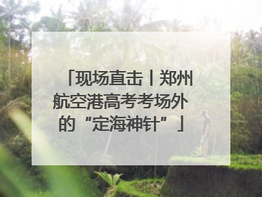 现场直击丨郑州航空港高考考场外的“定海神针”