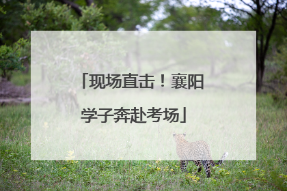 现场直击！襄阳学子奔赴考场